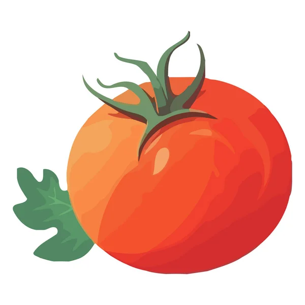 Frische Bio Reife Tomaten Gemüse Erfrischung Isoliert — Stockvektor