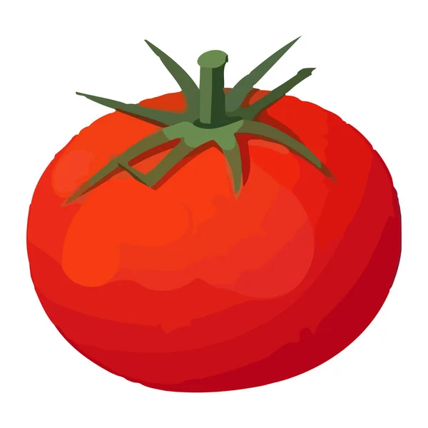 Salad Tomat Organik Segar Ikon Makanan Sehat Terisolasi - Stok Vektor