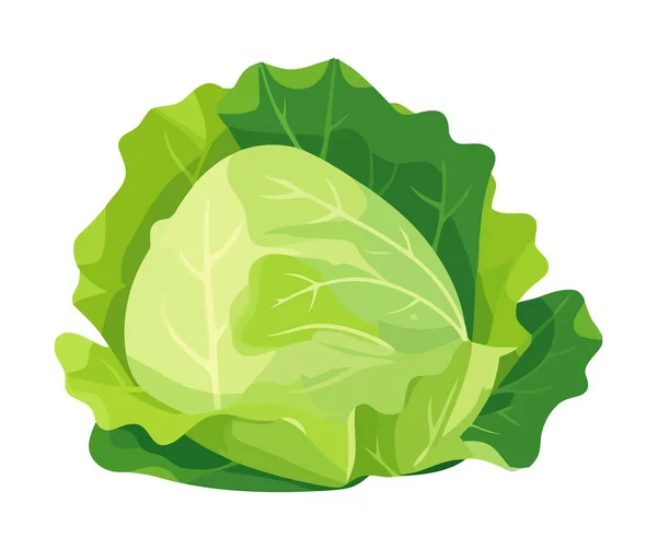 Frischer Bio Salat Eine Gesunde Vegetarische Mahlzeit Isoliert — Stockvektor