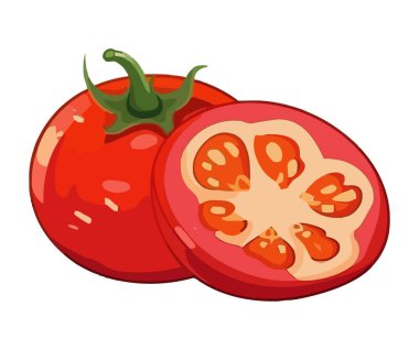 Taze organik domatesler sebzeler.