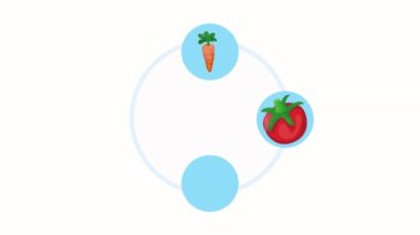 4 sebze sağlıklı yiyecek animasyonu 4k video animasyonu