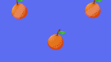 taze turuncu turunçgil meyve animasyonu 4k video animasyonu