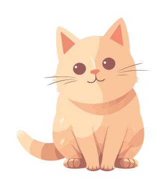 Kabarık saçlı neşeli bir kedi yavrusu.