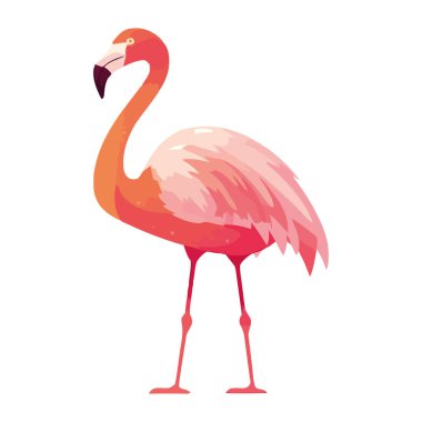 Egzotik alevli kuş ayakta duran karakter izole