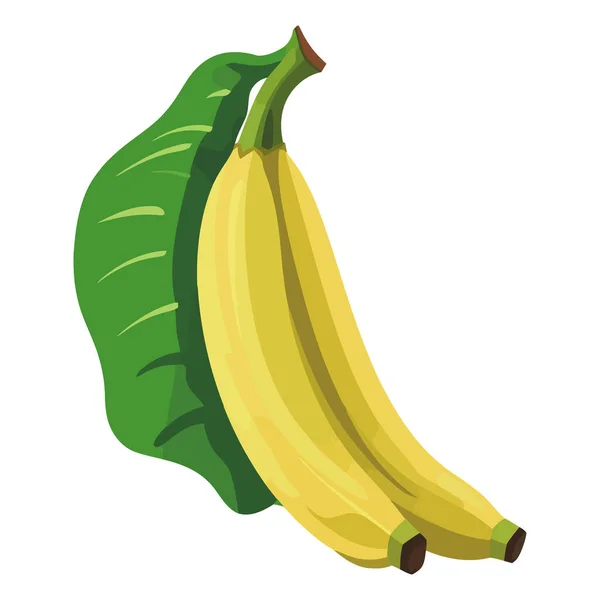 Banana Madura Fresca Lanche Doce Para Uma Alimentação Saudável Isolada — Vetor de Stock