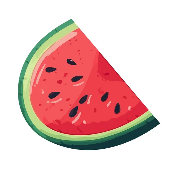 Juicy Watermelon Slice Sweet Summer Snack Isolated — Stock Vector