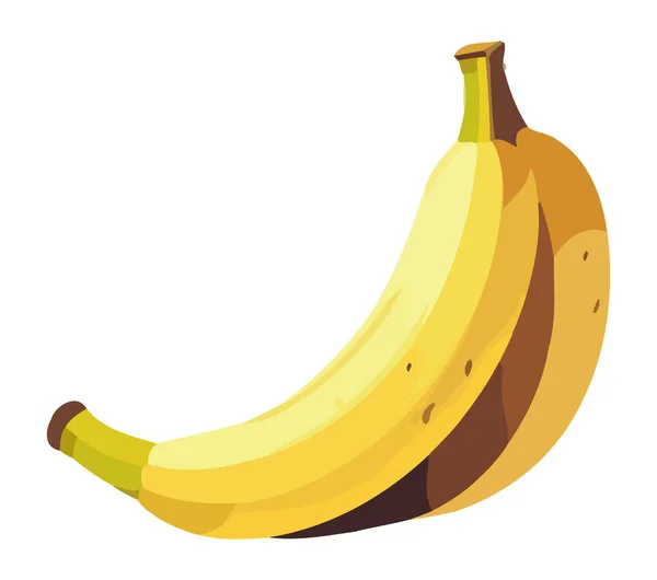 Свежий Спелый Банан Здоровая Закуска Природы Изолированы — стоковый вектор