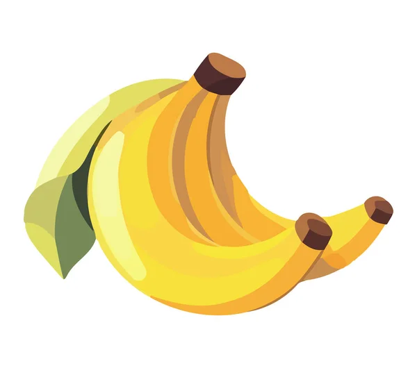 Banana Madura Fresca Para Dieta Vegetariana Verão Isolada — Vetor de Stock
