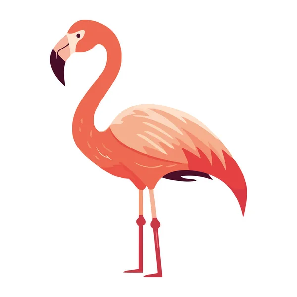 Carino Uccello Dei Cartoni Animati Con Più Piume Colorate Isolato — Vettoriale Stock