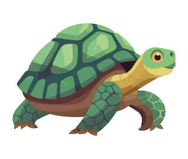 Slow Green Sea Turtle Animal Isolated — Stock Vector