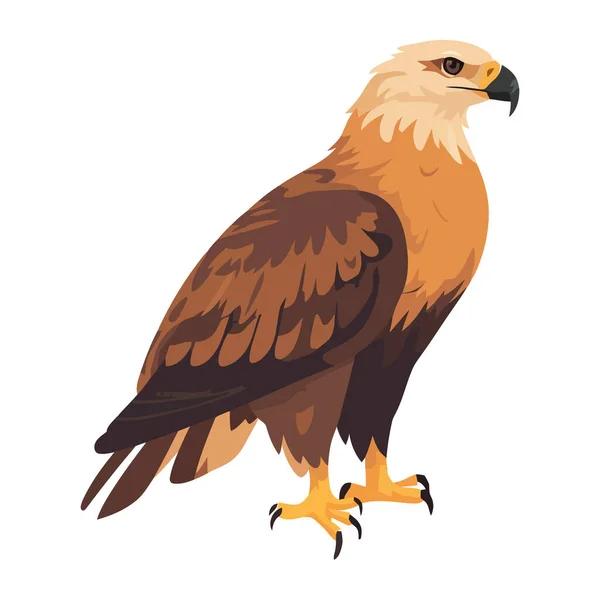 Fliegender Falke Mit Scharfen Krallen Symbol Der Freiheit — Stockvektor