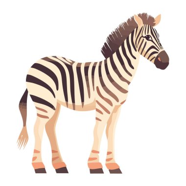 Çizgili zebra portresi izole edilmiş doğadaki güzellik.