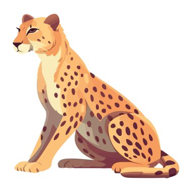 Hızlı jaguar, izole edilmiş görkemli bir avcı.