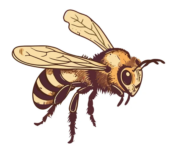 Bzučící Včela Opyluje Květinový Hmyz Izolovaný — Stockový vektor
