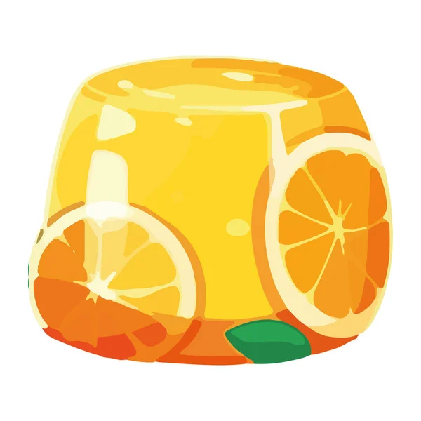 Färska Citrusfruktskivor Geléisolerad — Stock vektor
