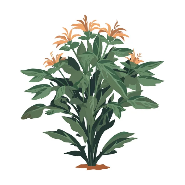 Fresh Green Leaves Adorn Ornate Flower Isolated — Stock Vector