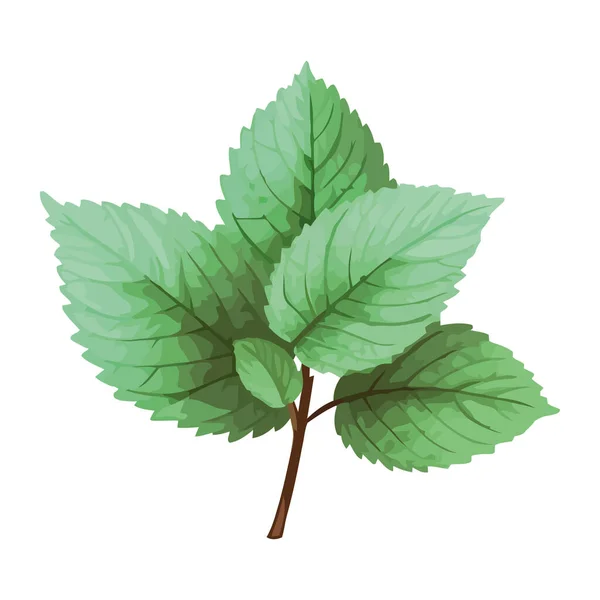 展示されている自然の芸術 孤立した緑豊かな植物の傑作 — ストックベクタ