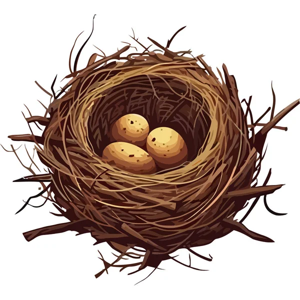 Nieuw Leven Viering Vogelnest Houdt Eieren Geïsoleerd — Stockvector