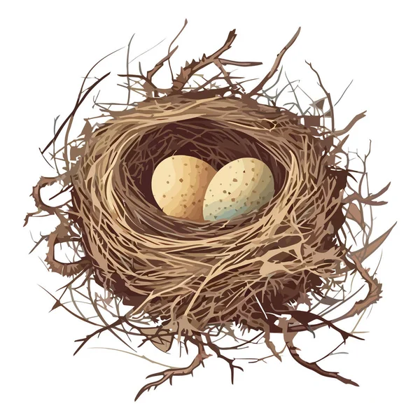 Organic Bird Nest Celebrates Springtime Eggs Isolated — Stock Vector