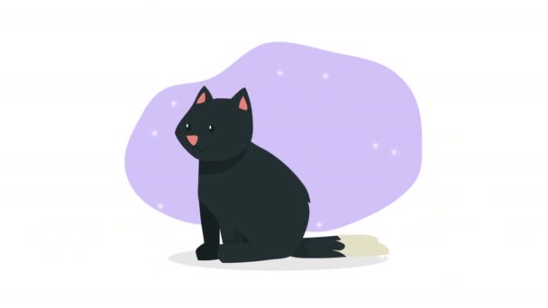 Preto Gato Felino Mascote Animação Vídeo Animado — Vídeo de Stock