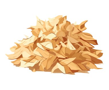 Sonbahar mevsiminde kuru yapraklar izole edilmiş