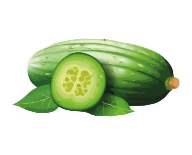 Taze organik salatalık dilimi, ikonu ayırmak için mükemmel.