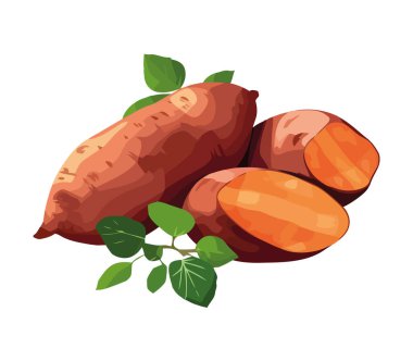 Taze organik tatlı patates yemek ikonu izole edildi