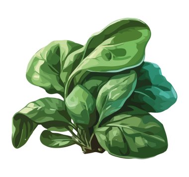 Organik bitkilerle taze salata, izole edilmiş sağlıklı bir yemek ikonu.