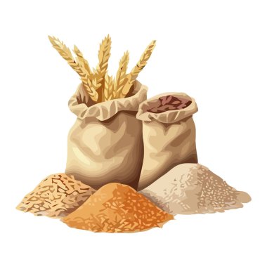 Taze pirinç ve organik buğday ikonu izole edilmiş.