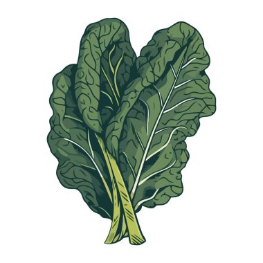 Taze organik salata, sağlıklı bir vejetaryen yemek ikonu izole edilmiş.