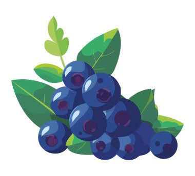 Yeşil yapraklı olgun yaban mersini, izole edilmiş taze doğa simgesi