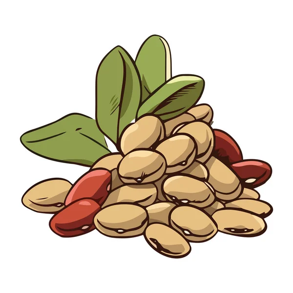 Fresh Organic Beans Illustration Icon Isolated — Stock Vector