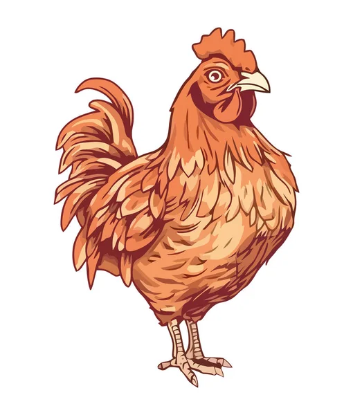 Şirin Tavuk Izole Edilmiş Çiftlik Hayvanı Ikonu — Stok Vektör