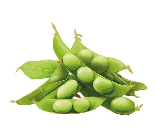 新鲜的有机豌豆 一个健康的素食图标隔离 — 图库矢量图片