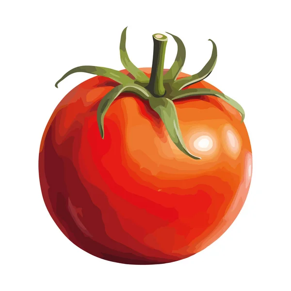 Tomate Biologique Fraîche Mûre Pour Une Salade Saine Icône Isolée — Image vectorielle