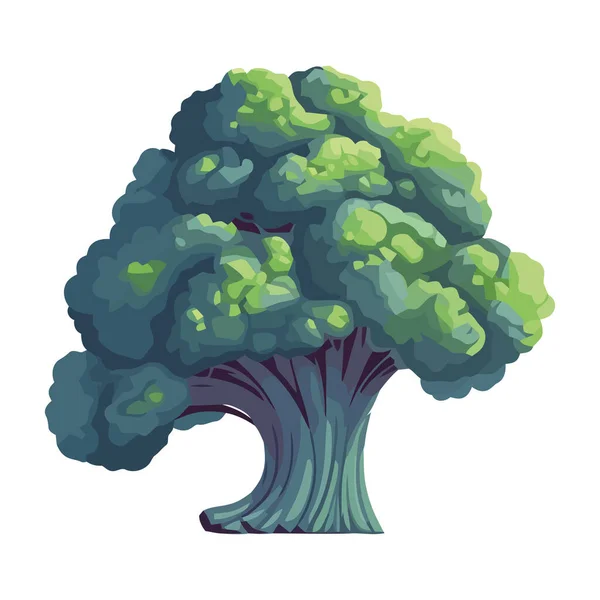 Taze Brokoli Olgun Sağlıklı Ikon Izole Edilmiş — Stok Vektör