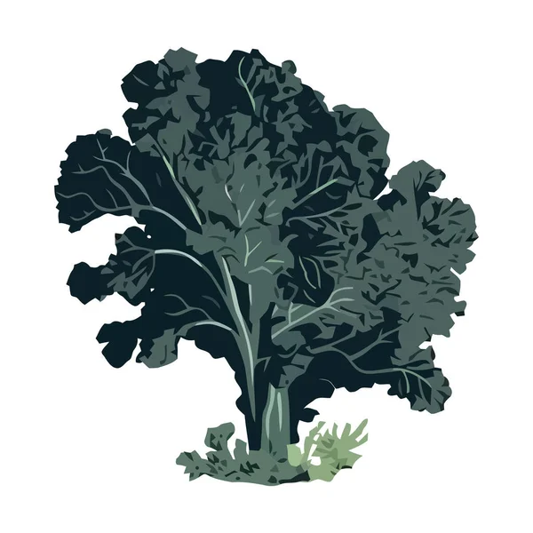 Свіжий Органічний Салат Здоровий Вегетаріанський Значок Дизайну Їжі Ізольовані — стоковий вектор