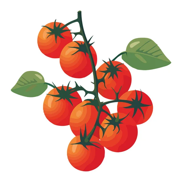 Tomat Organik Segar Ikon Sayuran Matang Terisolasi - Stok Vektor