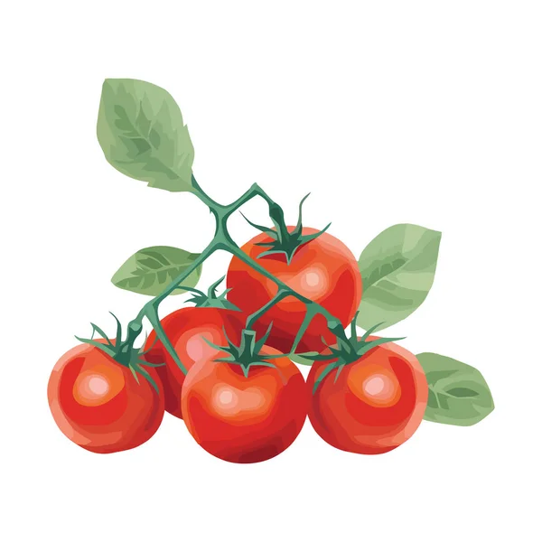 Soczysty Dojrzały Pomidor Świeżo Wyizolowany Ikony Gospodarstwa — Wektor stockowy