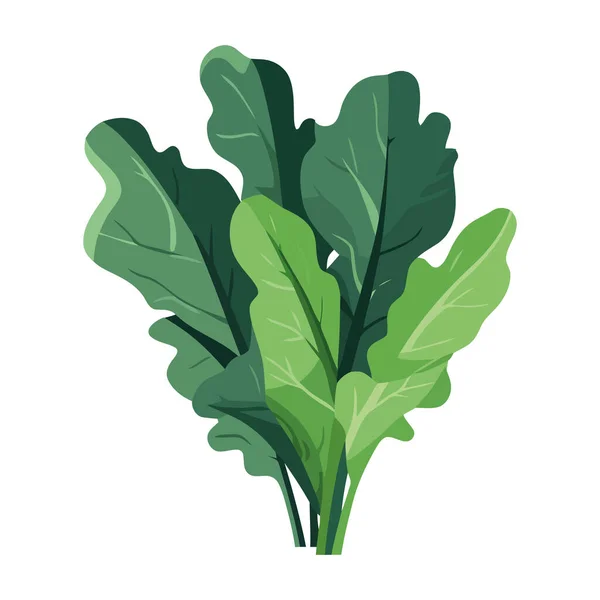 Verduras Orgánicas Frescas Icono Comida Saludable Aislado — Vector de stock