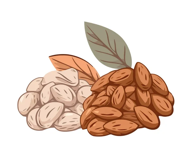 Gesunde Nüsse Und Samen Einem Nussschalen Vektorsymbol Isoliert — Stockvektor