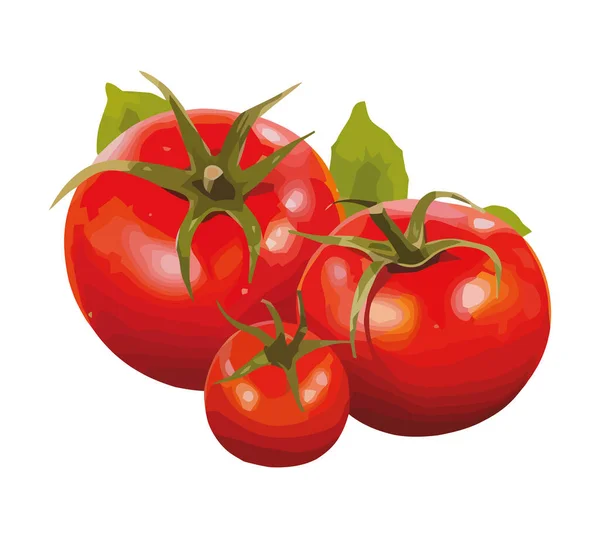 新鲜的有机西红柿沙拉 一个健康饮食选择图标隔离 — 图库矢量图片