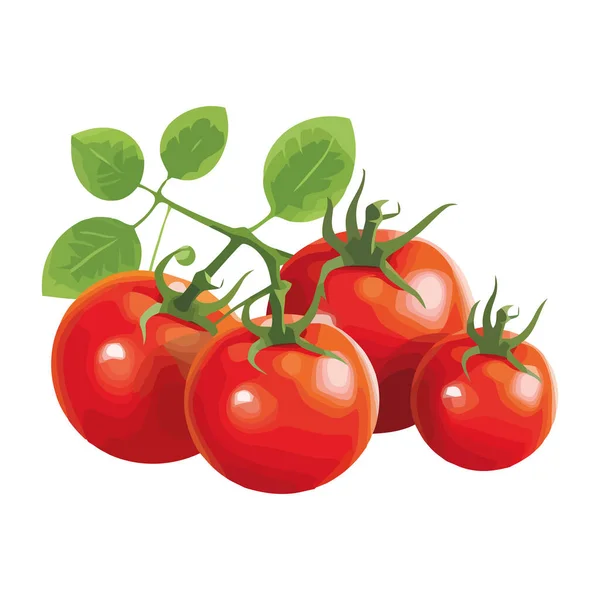 新鮮な有機トマト 熟した健康的な食事のアイコンは隔離されました — ストックベクタ