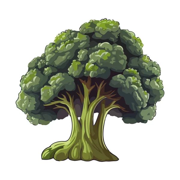 Brócoli Orgánico Fresco Icono Diseño Aislado — Vector de stock