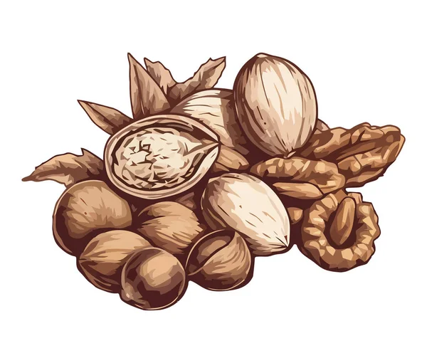 Zdravý Občerstvení Skořápka Ořechy Mix Ikona Izolované — Stockový vektor