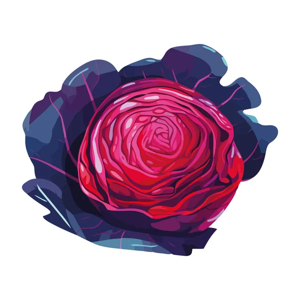 Chou Rouge Légume Nourriture Icône Isolé — Image vectorielle