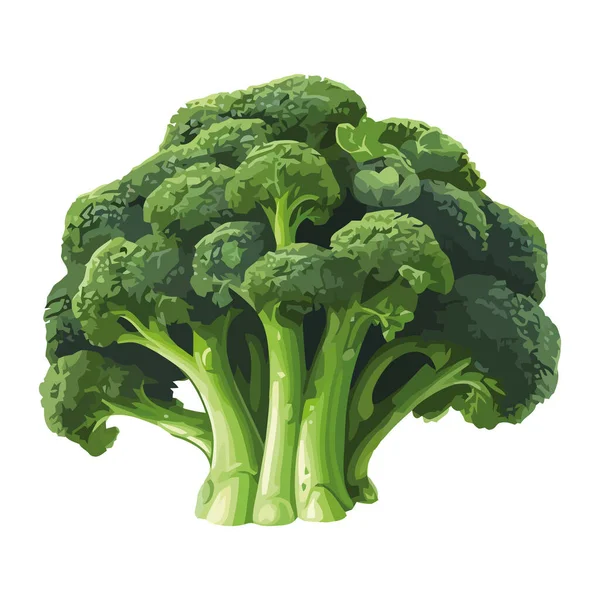 Čerstvý Organický Brokolicový Salát Ikona Zdravého Jídla Izolovaná — Stockový vektor