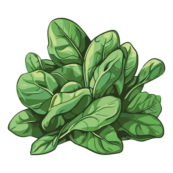 Hierbas Verduras Orgánicas Frescas Para Una Alimentación Saludable Icono Aislado — Vector de stock