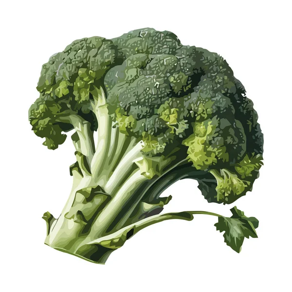 Organik Lahana Ikonlu Taze Brokoli Salatası Yemek Sağlıklı — Stok Vektör