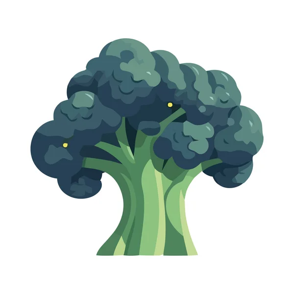 Organic Broccoli Symbolizes Healthy Eating Icon Isolated — Stock Vector